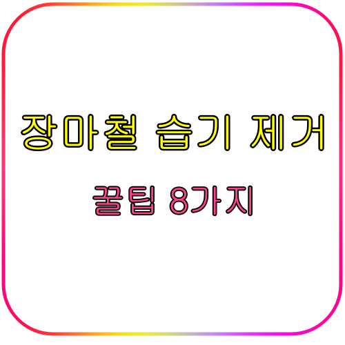 습기 때문에 곰팡이 폭발? 장마철 집안 지키는 꿀팁 8가지 2 장마철 습기 제거
꿀팁 8가지