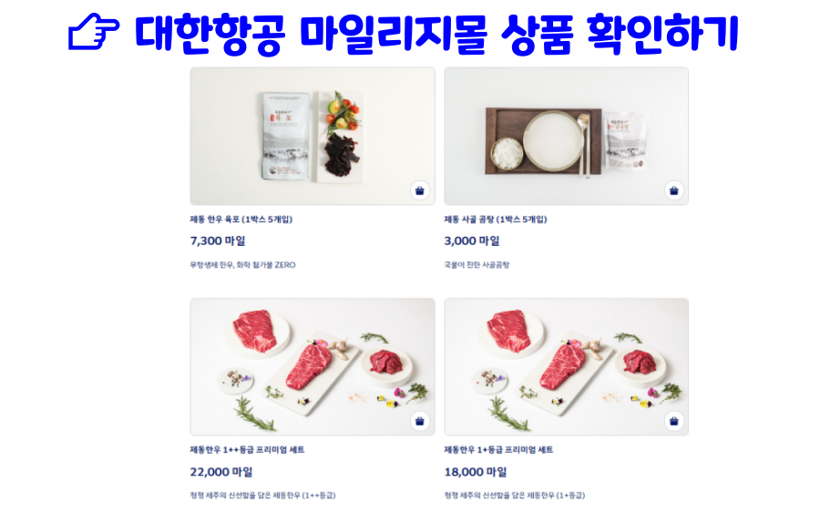 대한항공 마일리지몰 상품 확인하기