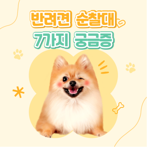 반려견 순찰대 7가지 궁금증, 참여 전에 꼭 알아두세요!